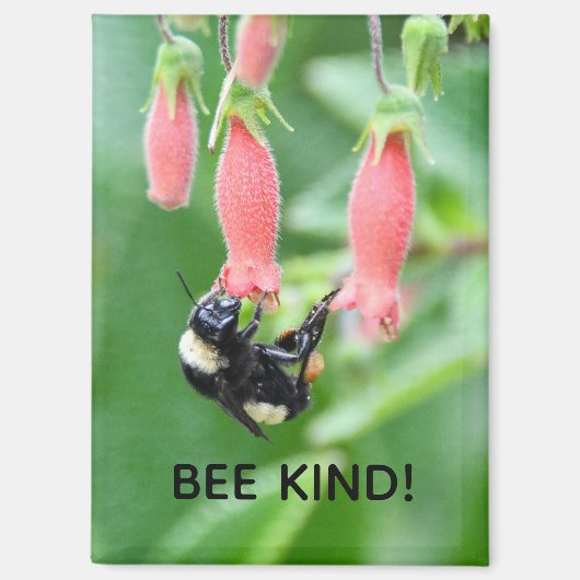 Magnet - Bee on Pink Flower Magneet (Voorkant)