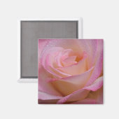 Magnet belle rose rose rose (Recto/Verso)