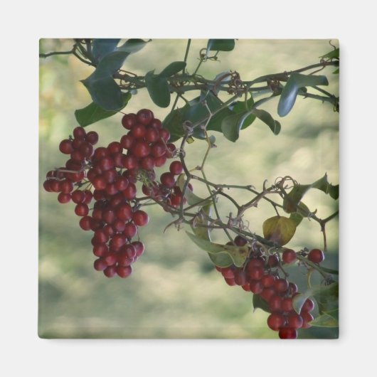 Magnet Berry (Devant)