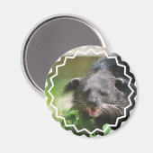 Magnet Binturong (Recto/Verso)