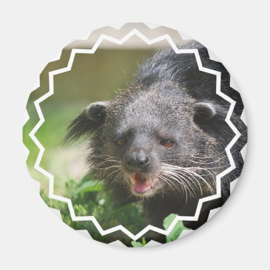 Magnet Binturong (Devant)