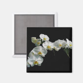 Magnet blanc orchidée (Recto/Verso)