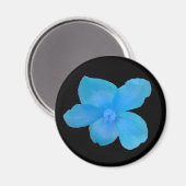 Magnet Bleu Begonia (Recto/Verso)