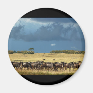 Magnet bleu de Mara Kenya de masai de gnou (GNOU)