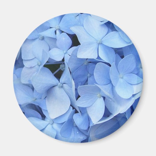 Magnet - Blue Hydrangea Magneet (Voorkant)