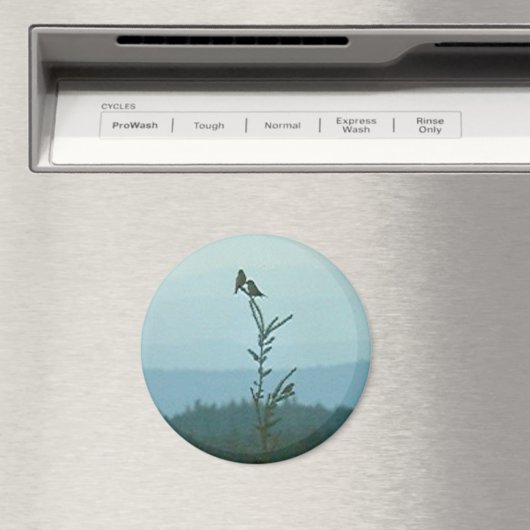 Magnet - Bovenkant van de wereld Magneet (Insitu (Vaatwasser))