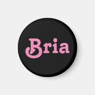 Magnet Bria Magneet