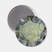Magnet Broccoli (Recto/Verso)
