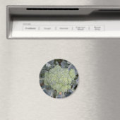 Magnet Broccoli (In Situ (Lave-vaisselle))