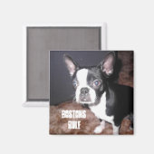 Magnet BT (Recto/Verso)