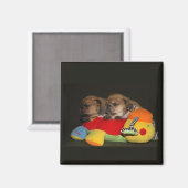 Magnet Bulldog (Recto/Verso)