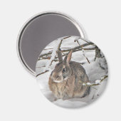 Magnet Bunny (Recto/Verso)