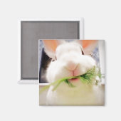 Magnet Bunny (Recto/Verso)
