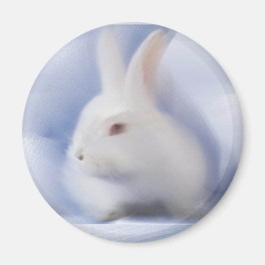 Magnet Bunny (Devant)