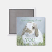 Magnet Bunny (Recto/Verso)