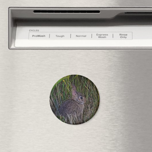 Magnet Bunny (In Situ (Lave-vaisselle))
