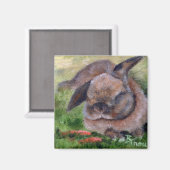 Magnet Bunny Dreams (Recto/Verso)