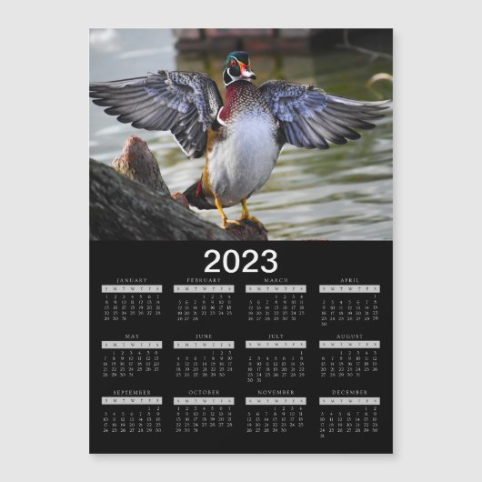 Magnet Calendar 2023 Beau canard en bois (Devant)