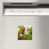 Magnet canadien (In Situ (Lave-vaisselle))