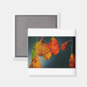 Magnet carré (Recto/Verso)