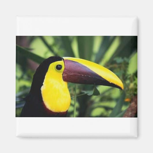 Magnet carré (Devant)