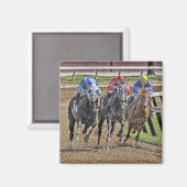 Magnet Carré à Thoroughbred (Recto/Verso)