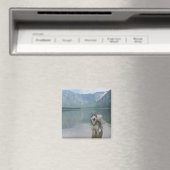 Magnet Carré de chien malamué (In Situ (Lave-vaisselle))