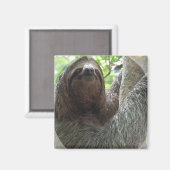 Magnet Carré de conception photo Sloth (Recto/Verso)