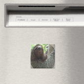 Magnet Carré de conception photo Sloth (In Situ (Lave-vaisselle))