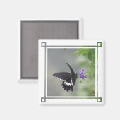 Magnet Carré de jardin papillon (Recto/Verso)