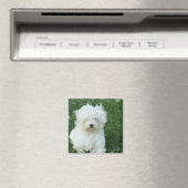 Magnet Carré de marionnettes maltaises (In Situ (Lave-vaisselle))