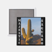Magnet Carré Majestic Saguaro (Recto/Verso)