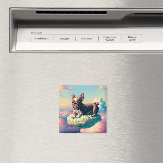 Magnet Carré Photoleap (In Situ (Lave-vaisselle))