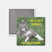 Magnet Cat Yoga (Recto/Verso)