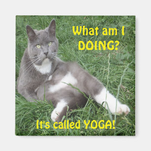 Magnet Cat Yoga Magneet