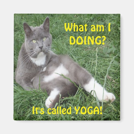 Magnet Cat Yoga Magneet (Voorkant)