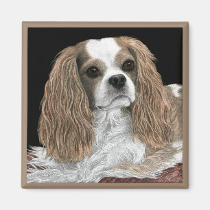 Magnet Cavalier King Charles Spaniel - "Bella"