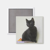 Magnet Chaton Noir Mignon (Recto/Verso)