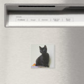 Magnet Chaton Noir Mignon (In Situ (Lave-vaisselle))