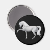Magnet cheval andalou blanc (Recto/Verso)