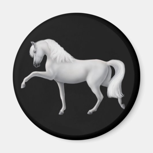Magnet cheval andalou blanc (Devant)