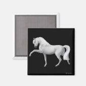 Magnet cheval andalou blanc (Recto/Verso)