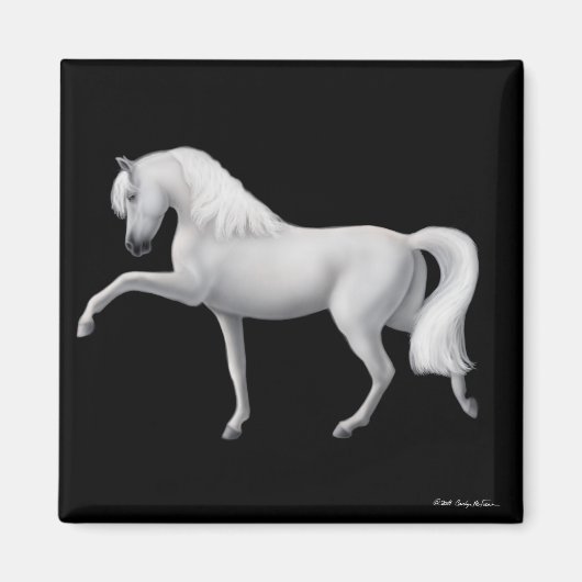 Magnet cheval andalou blanc (Devant)
