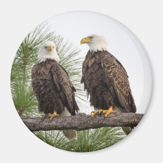 Magnet circulaire H&O (Diverses Tailles Disponible