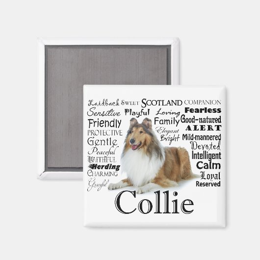 Magnet Collie Traits (Recto/Verso)