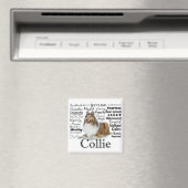 Magnet Collie Traits (In Situ (Lave-vaisselle))
