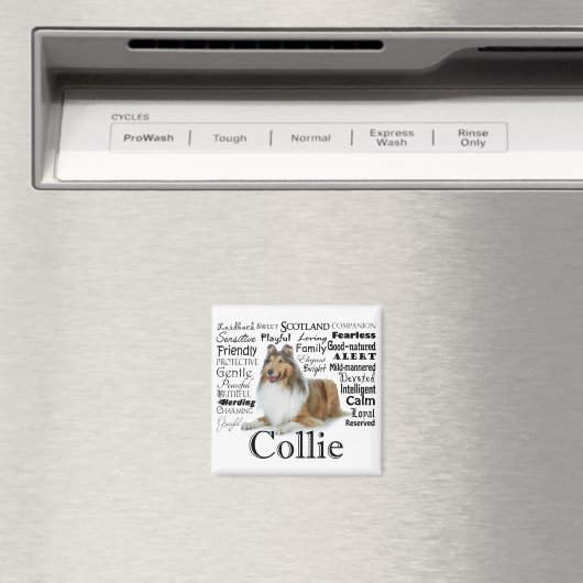 Magnet Collie Traits (In Situ (Lave-vaisselle))