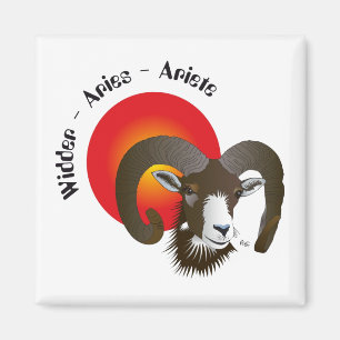 Magnet (constellation)