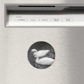 Magnet - Coscorba Swan Pair (In Situ (Lave-vaisselle))