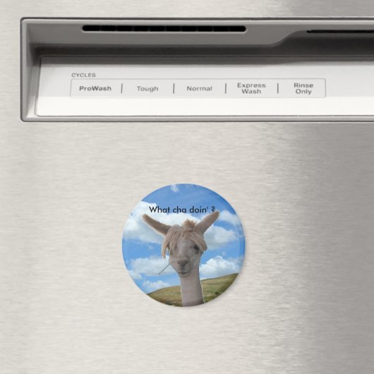 Magnet - Curieux Alpaca (In Situ (Lave-vaisselle))